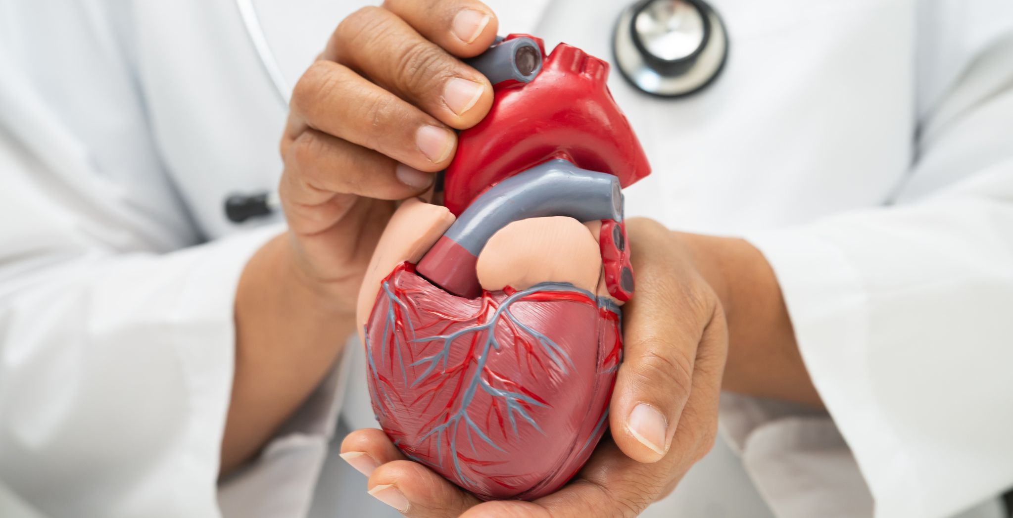 Calcium Heart Test Detect Heart Risks Early